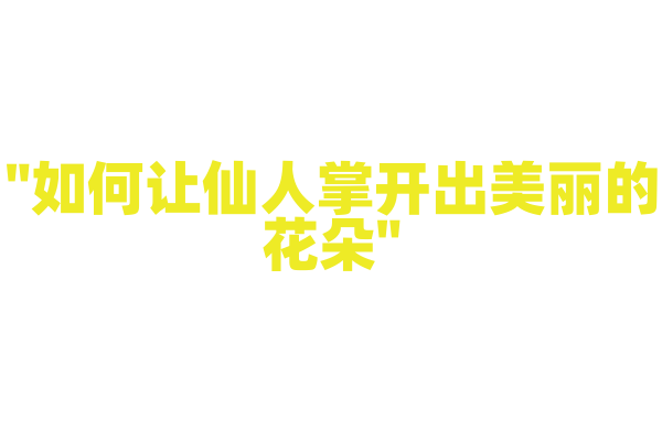 "如何让仙人掌开出美丽的花朵"